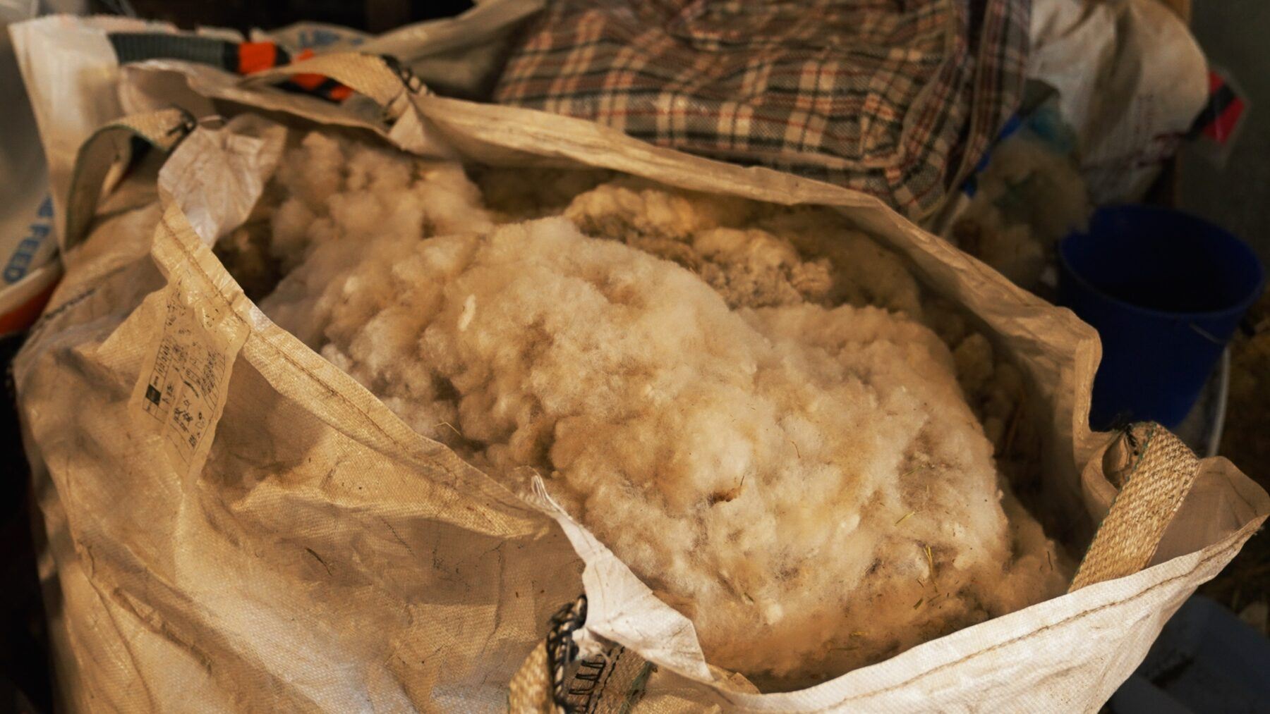 Dorset Down Sheep wool, collected from our partnered farm in the West Midlands