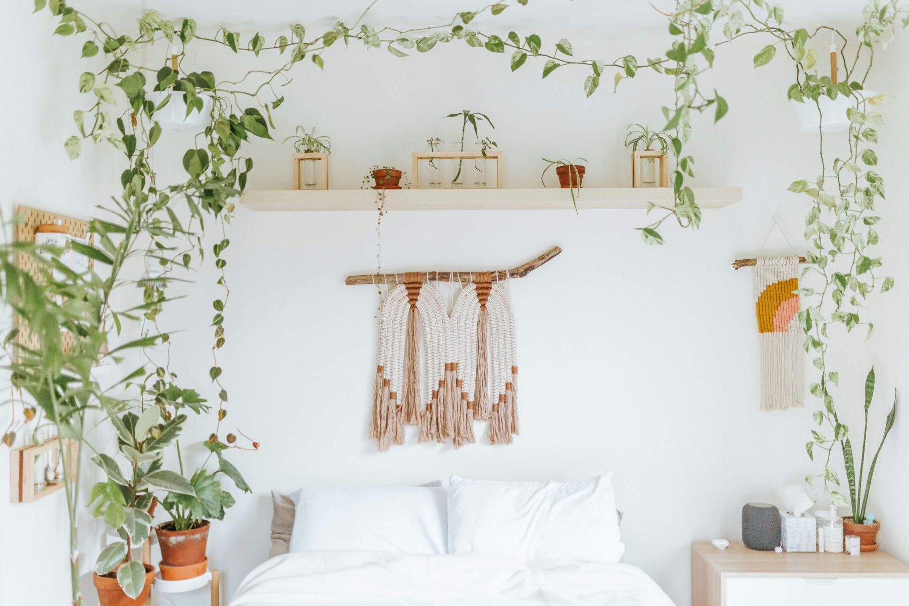 Bright and airy bedroom featuring green houseplants