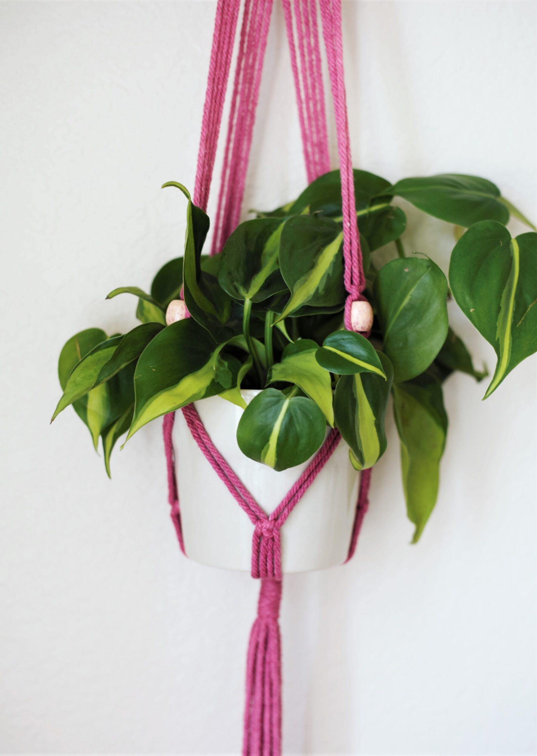 Macrame plant hanger