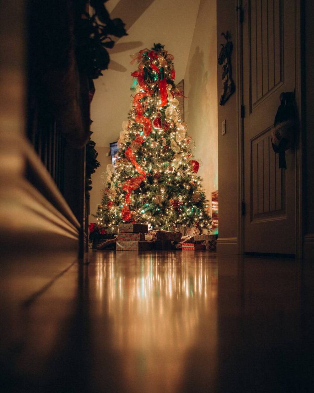 Christmas tree on Christmas Eve