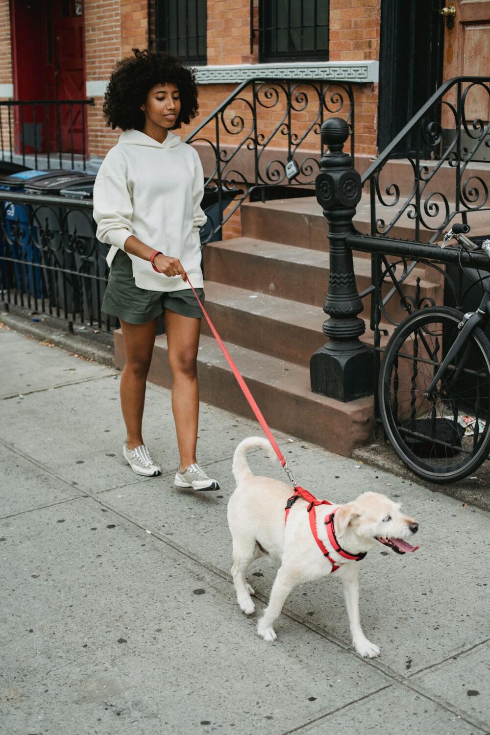 Person walking white dog along a pavement