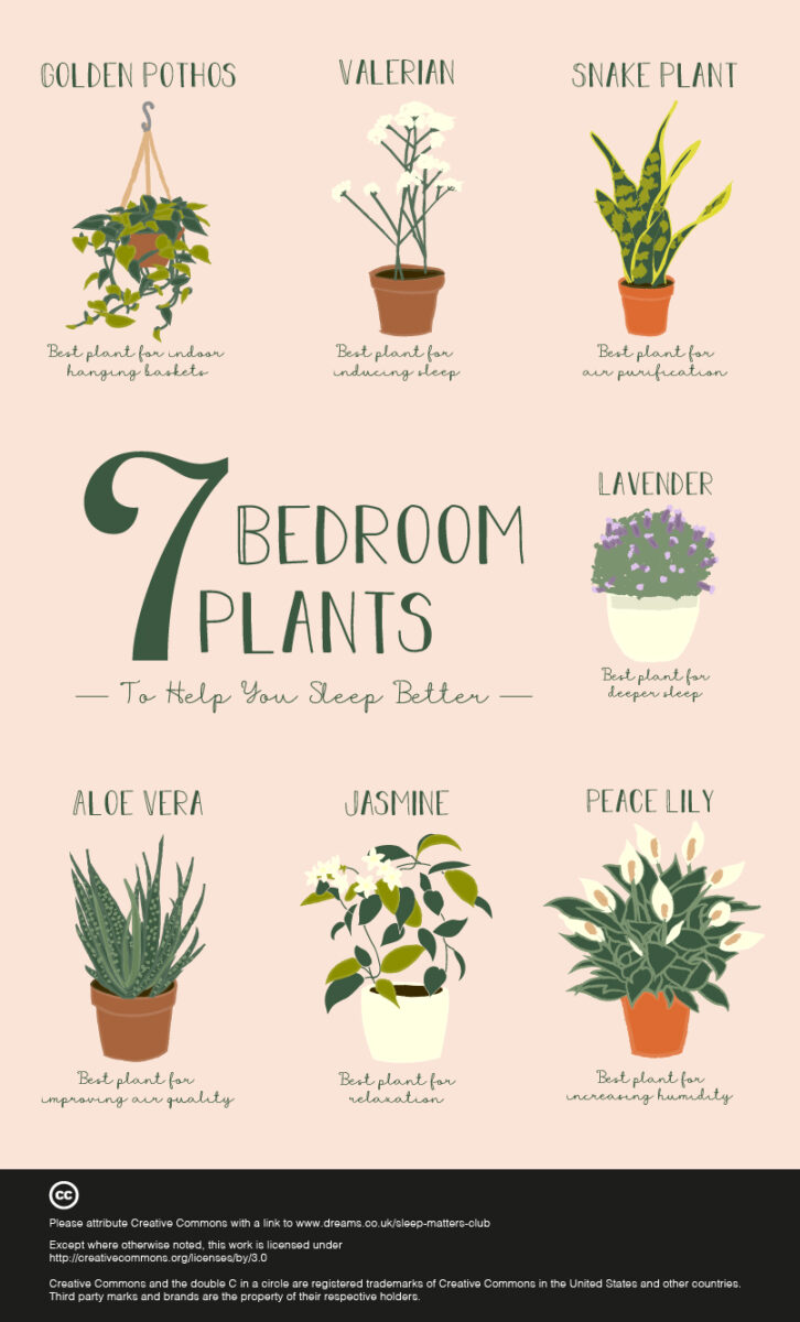 Illustration of plants ideal for bedrooms, featuring a variety of greenery against a soft pink background